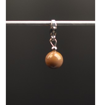 Charm en Acier Inoxydable...