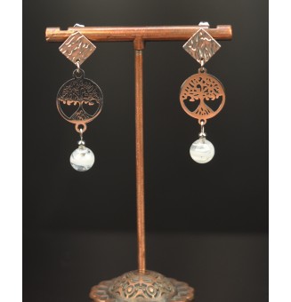 Boucles d'Oreilles en...