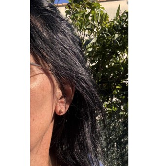 puces d'oreilles Acier Inoxydable en verre "MARRON"