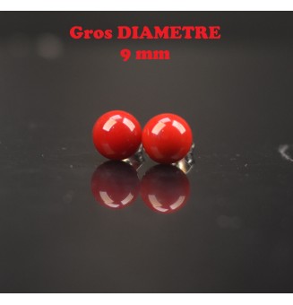 puces d'oreilles Gros...