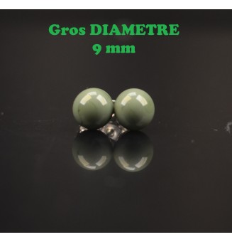 puces d'oreilles Gros...