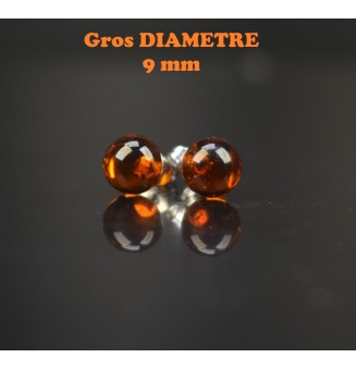 puces d'oreilles Gros...