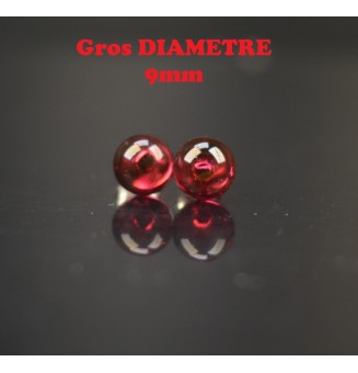 puces d'oreilles Gros...