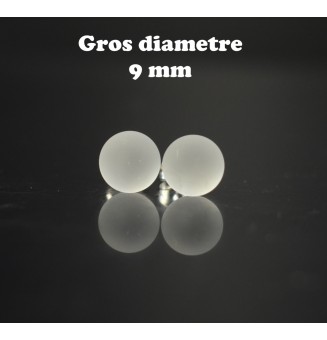 puces d'oreilles Gros...