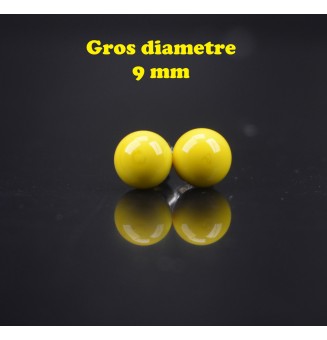 puces d'oreilles Gros...