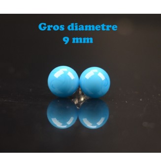 puces d'oreilles Gros...