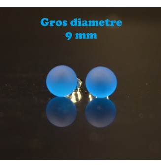 puces d'oreilles Gros...