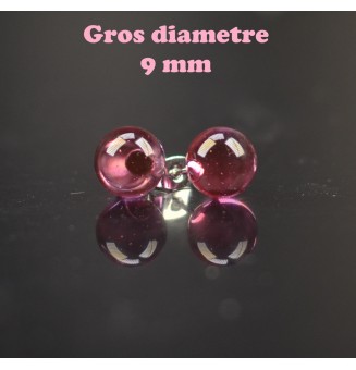 puces d'oreilles Gros...