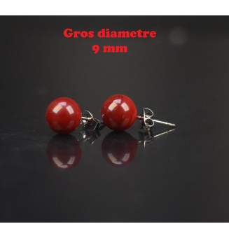 puces d'oreilles Gros...