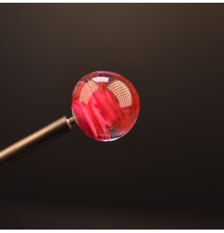 Perle à visser pour collier...